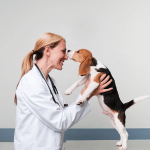 Dr. Stephine
